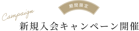 キャンペーンタイトル
